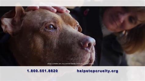 Humane Society TV Spot, 'Stand Up to Violence'