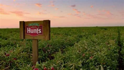 Hunt's TV Spot, 'Tomato Town' featuring Karolin Luna