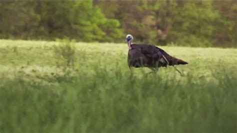 Hunters Specialties Strut 2018 TV Spot, 'Bird Calls'