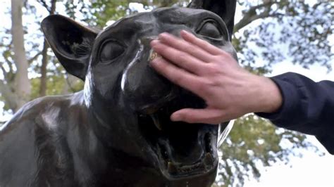 Hyundai TV Commercial for University of Pittsburgh Panther Nose Rub