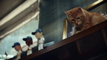 Iams Proactive Health TV Spot, 'Gravity Defier' created for Iams