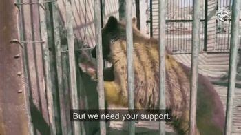 International Animal Rescue TV Spot, 'Brown Bears'