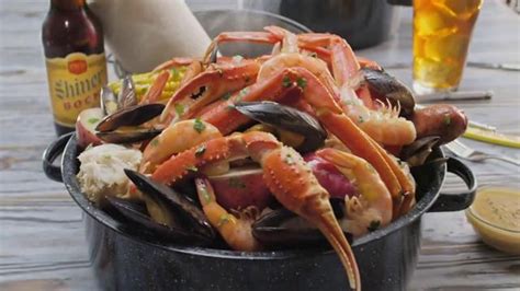 Joe's Crab Shack Texas Steampot TV Spot, 'Crabs: For Pots Not Pets' featuring Austin Brooks