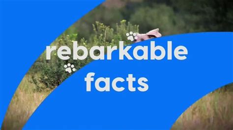 K9 Advantix II TV Spot, 'Animal Planet: Rebarkable Facts'