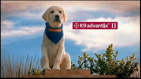 K9 Advantix II TV commercial - For the Love of Dog