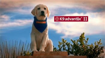 K9 Advantix II TV Spot, 'More than a Nuisance' featuring Blaze Berdahl