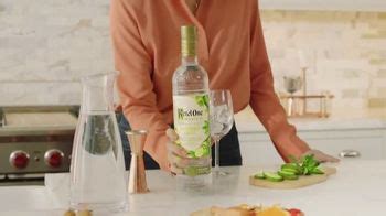 Ketel One Botanical TV Spot, 'Botanical Kitchen' Song by Berkant Uluer