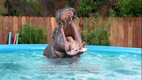 Kmart TV Spot, 'Hippo'