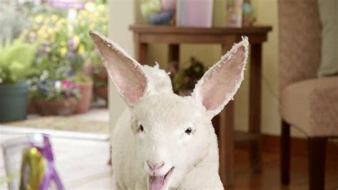 Kmart TV Spot, 'Lambbit Runs Away' featuring Amorah McKinney