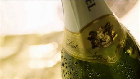 Korbel Brut TV commercial - Make It Gold