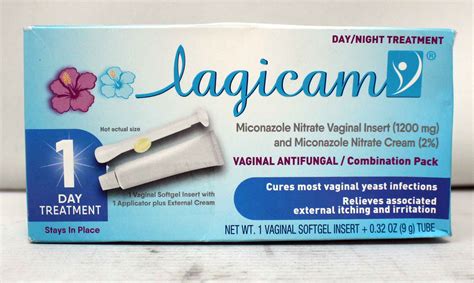 Lagicam 1 Day logo