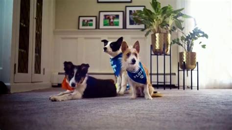 LifeProof with Petproof Technology TV Spot, 'Puppy Bowl XVII' created for LifeProof Flooring