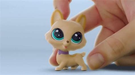 Littlest Pet Shop Pets TV commercial - Shimmer & Glimmer