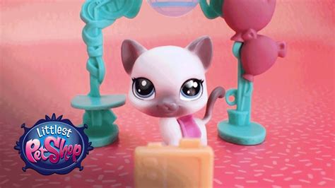 Littlest Pet Shop Splash Park Party and Sweet School Day TV Spot, 'More Pets, More Fun'