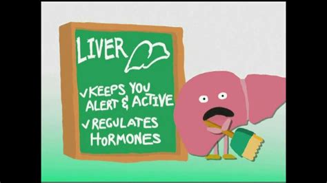 Liverite Liver Aid TV Spot, 'All in the Liver'