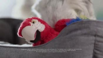 Lowe's TV Spot, 'Parrot: Sparky'