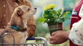 Lowe's TV Spot, 'Season of Celebration' created for Lowe's