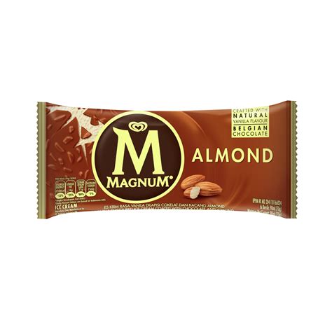 Magnum Hazelnut Ice Cream logo