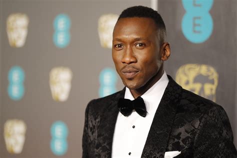 Mahershala Ali photo