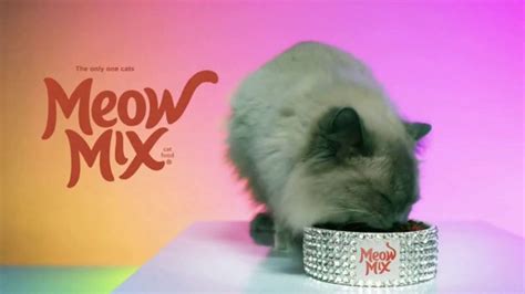 Meow Mix TV commercial - Remix: Luna