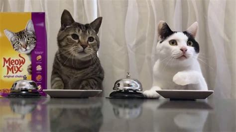 Meow Mix TV Spot, 'Standing Cat' featuring Kiff VandenHeuvel