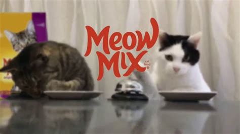 Meow Mix TV Spot, 'We'll Never Figure Them Out: Party'