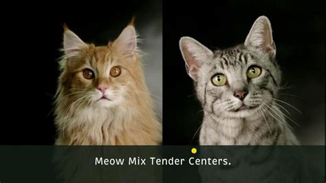 Meow Mix Tender Centers TV Spot, 'Sing Along'