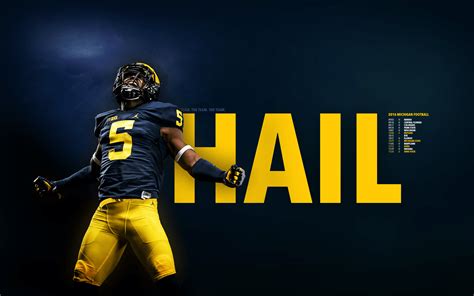 Michigan Wolverines photo