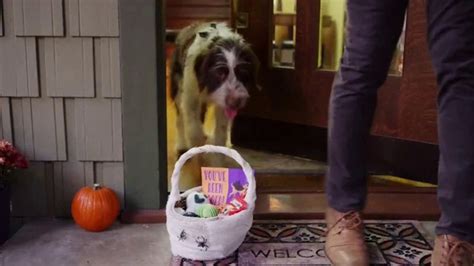 Milk-Bone TV Spot, 'Animal Planet: How to Halloween' created for Milk-Bone