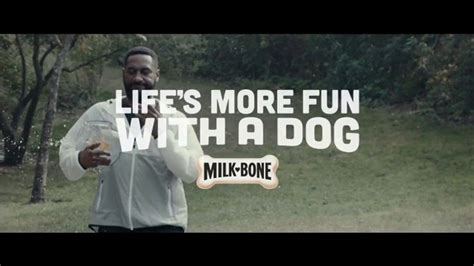 Milk-Bone TV commercial - Goldfish Jogging