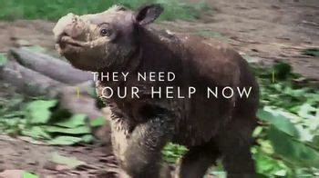 National Geographic TV commercial - Save the Sumatran Rhino