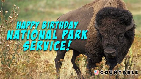 National Park Service TV Spot, 'Happy 100th Birthday'