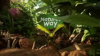 Nature's Way Alive! TV Spot, 'Inspired'