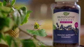 Nature's Way Sambucus Elderberry TV Spot, 'Nature Finds A Way'