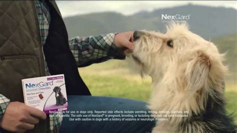 NexGard Chewables TV Spot, 'Confidence' Song by Ben E. King