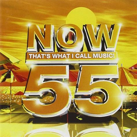 Now That's What I Call Music 55 logo