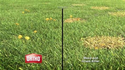 Ortho Weed B Gon TV Spot, 'Kill Weeds, Not Lawns'