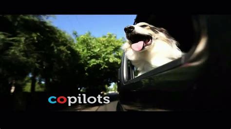 PETCO TV Spot, 'Connect' created for PETCO