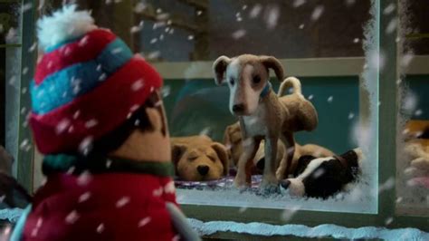 PETCO TV Spot, 'Holidays' featuring Billy Cowart