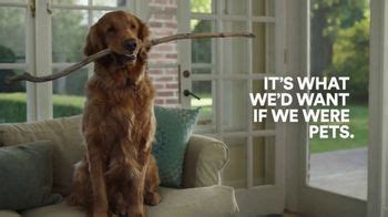 PETCO Whole Hearted TV commercial - What Wed Want If We Were Pets: Big Stick