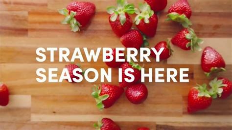 Panera Bread TV Spot, 'Strawberry Season'