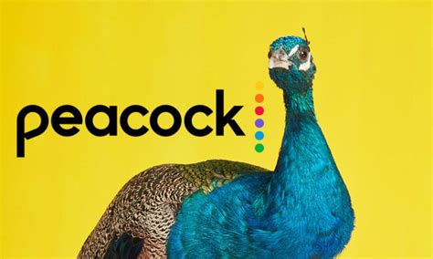 Peacock TV TV commercial - Whos Streaming