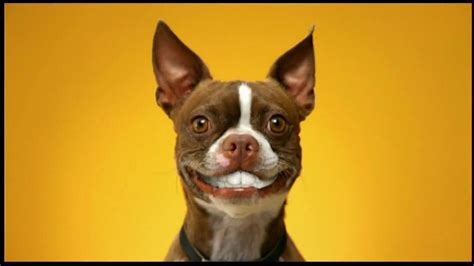 Pedigree Dentastix TV Spot, 'Doggie Dentures'