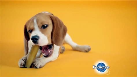 Pedigree Jumbone TV commercial - The Gift That Goes Om & Nom