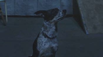 Pedigree TV Spot, 'Bandit's First Owner'