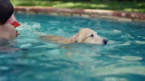 Pedigree TV Spot, 'Learning to Swim' created for Pedigree