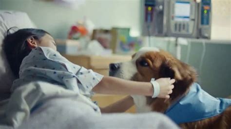 Pedigree TV Spot, 'Therapy' featuring Tate Evans