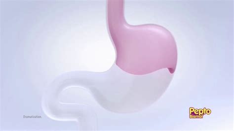 Pepto-Bismol Chews TV Spot, 'Stomach Noises' created for Pepto-Bismol