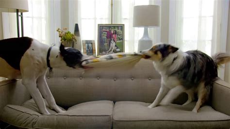 Pergo TV commercial - Dog Party