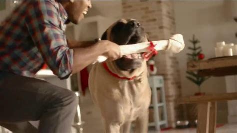 PetSmart Holiday TV commercial - Toys and Treats